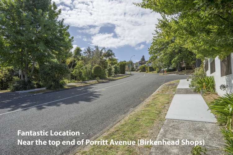 115 Porritt Avenue Chatswood_7