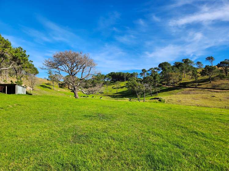 Babylon Coast Road Dargaville_19