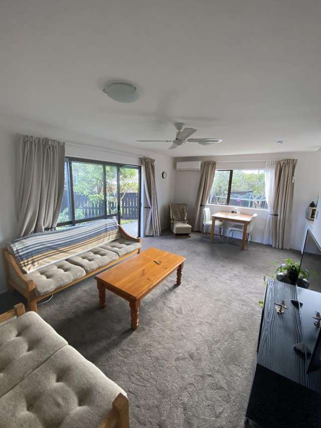 31A Manson Avenue 10816_3