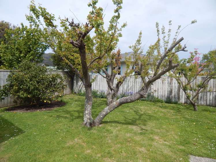 49 Brasell Street Fairfield_13