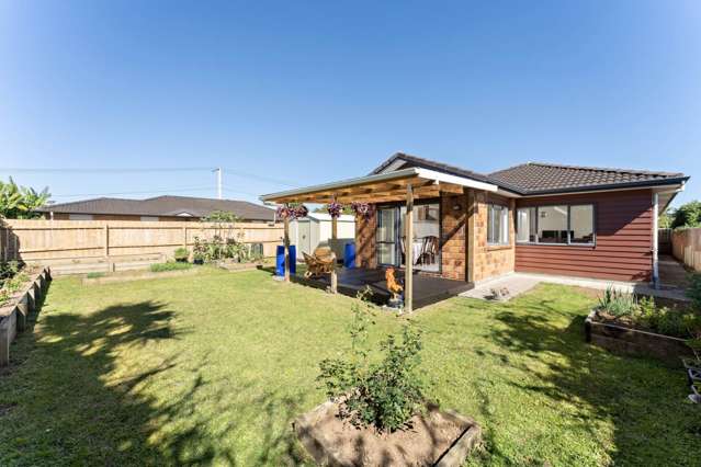 55a Willerton Avenue New Lynn_3