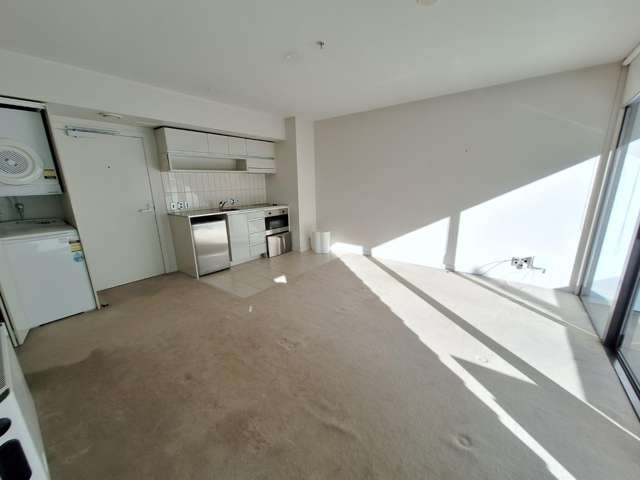 214/77 Halsey Street 10015_1