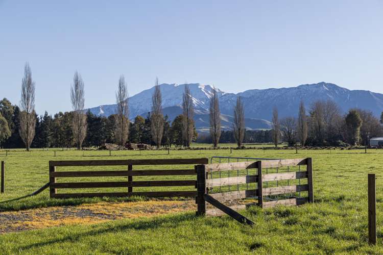 204 Silverton Road_5