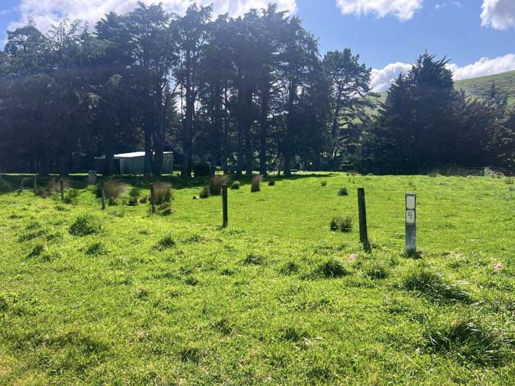 463 Waihi Valley Rd Dannevirke_19