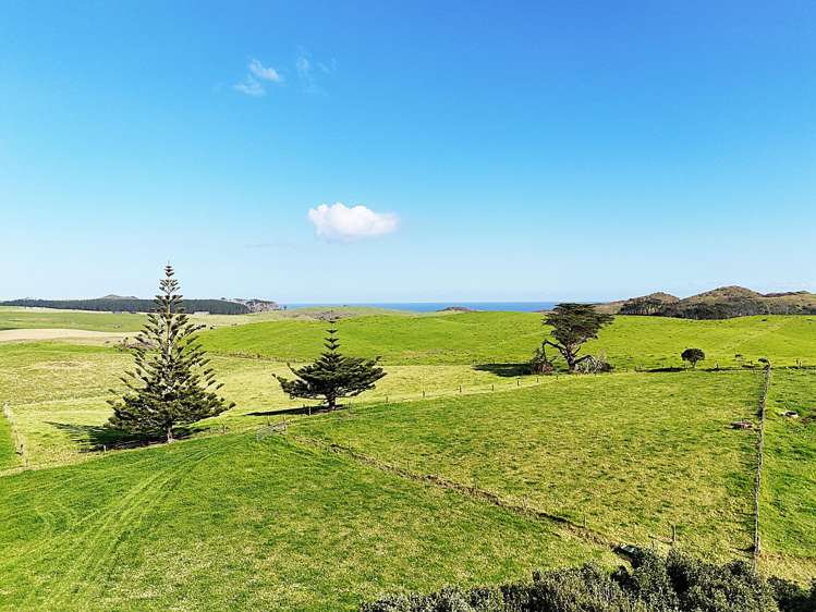 1000 Redhill Road Te Kopuru_22