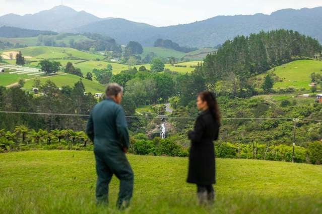 4 Titles! A Spectacular Slice of Waikino