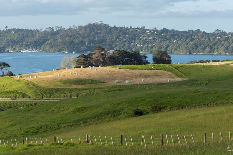 220 Vaughans Road Long Bay_16