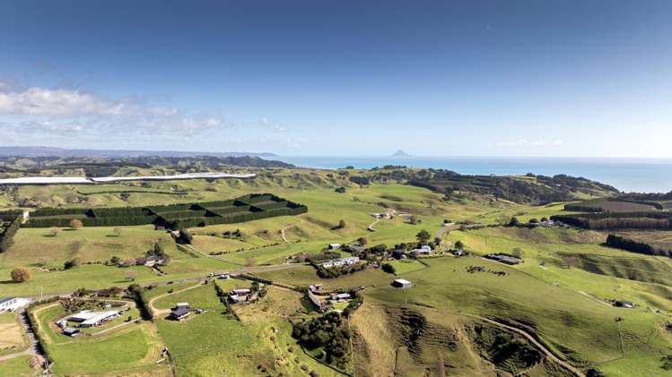209 Paerata Ridge Road Waiotahe_30