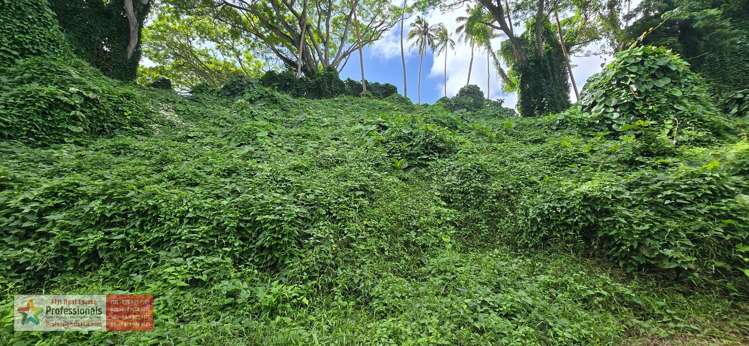 Address withheld Savusavu_21