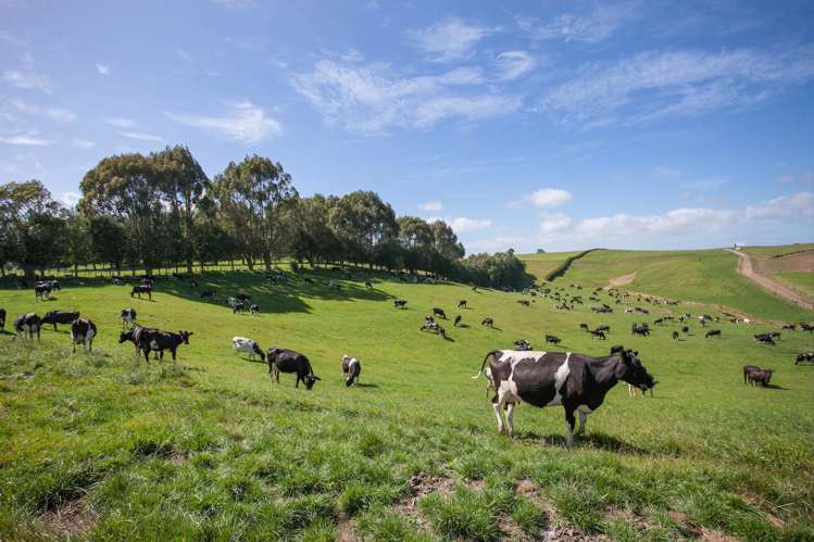 59 Arapuni Road Putaruru_7