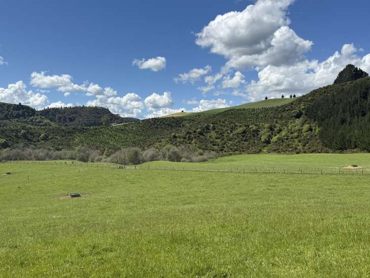 1/1745 Arapuni Road Parawera_20