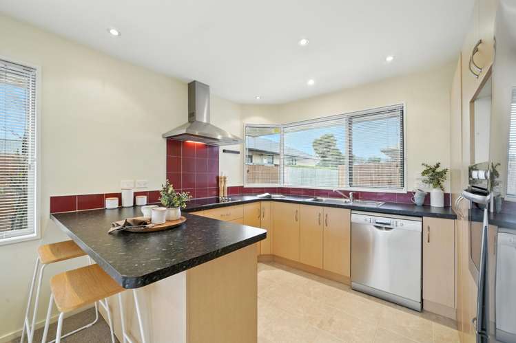 43a Diamond Avenue Spreydon_5