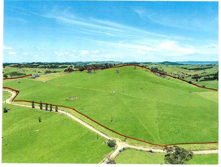 458 Parahi Road Ruawai_30