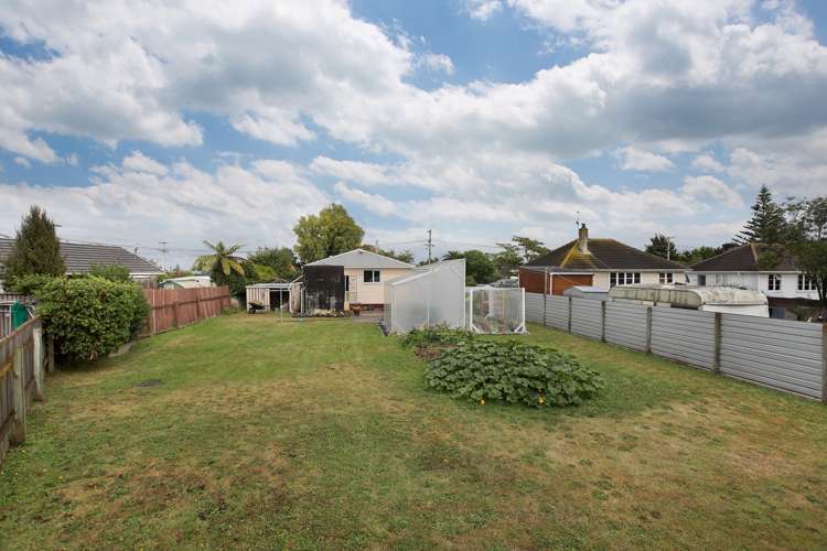 4 Johnson Street Bulls_13