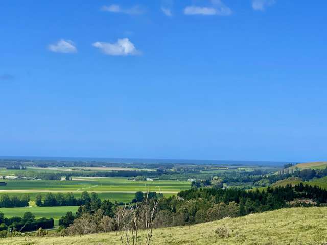 Lot 1 Gaudion Road, Peebles Oamaru_3