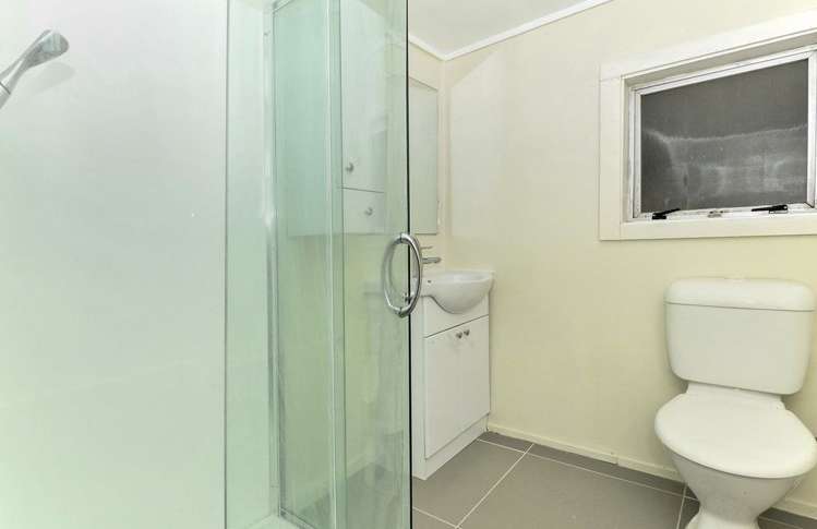 56 Ellis Avenue Mount Roskill_14