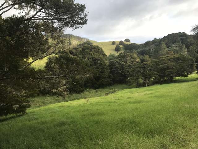 Lot 2 Taraunui Road Parua Bay_4