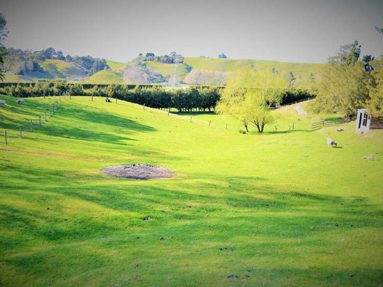 944 Puketapu Road Puketapu_21