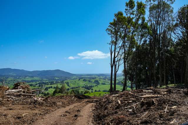 Te Rore Road Kaitaia_2