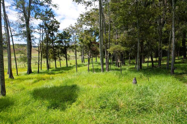 Lot Lot 3 Sills Road Dargaville_21