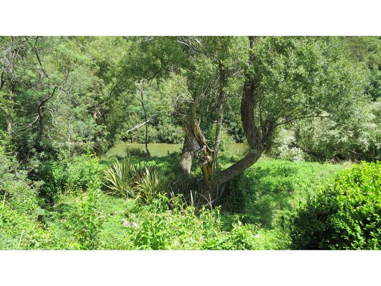 154 Wakamarina Road Havelock_14