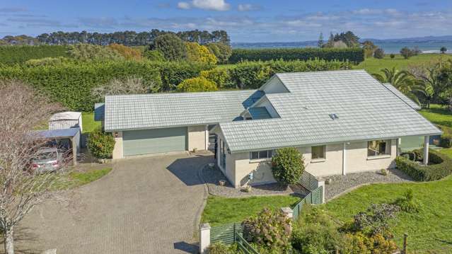 305 Seagrove Road Waiau Pa_3