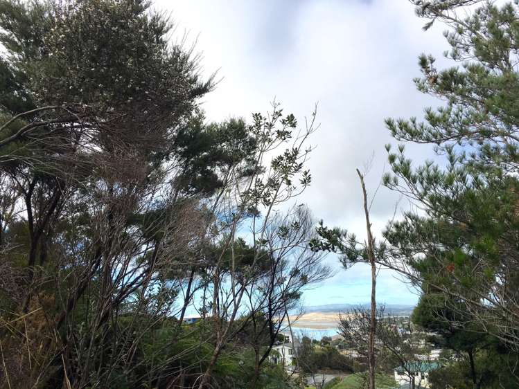 71 Cullen Street Mangawhai Heads_4