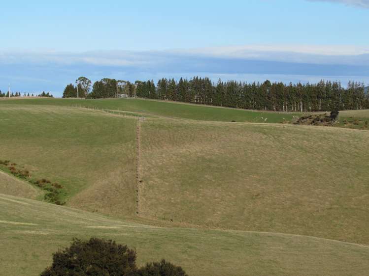 168 Remarkable Road Lawrence_7