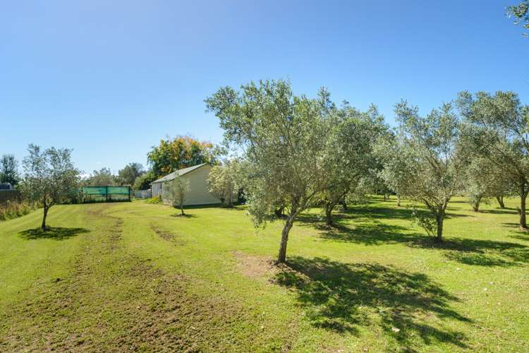 1590 State Highway 3 Awahuri_15