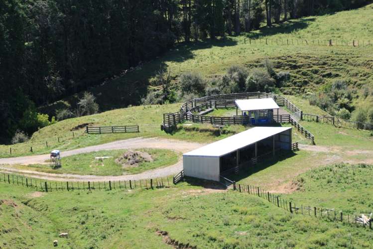 102 Manu Road Te Popo_22