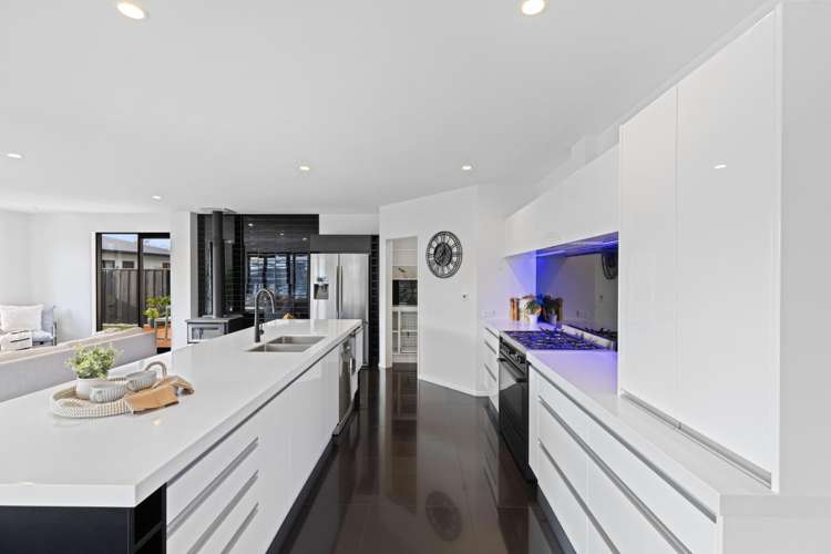 8 Chimera Street Pegasus_5