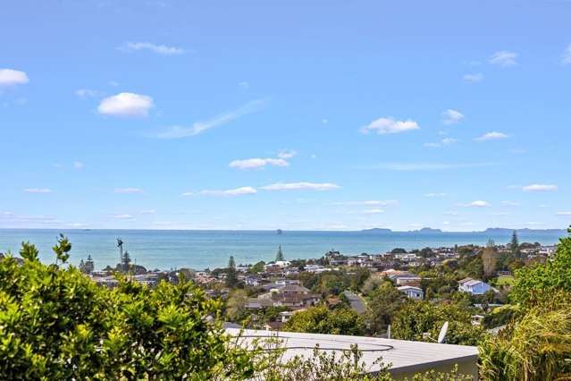 9 Elizabeth Place Mairangi Bay_2