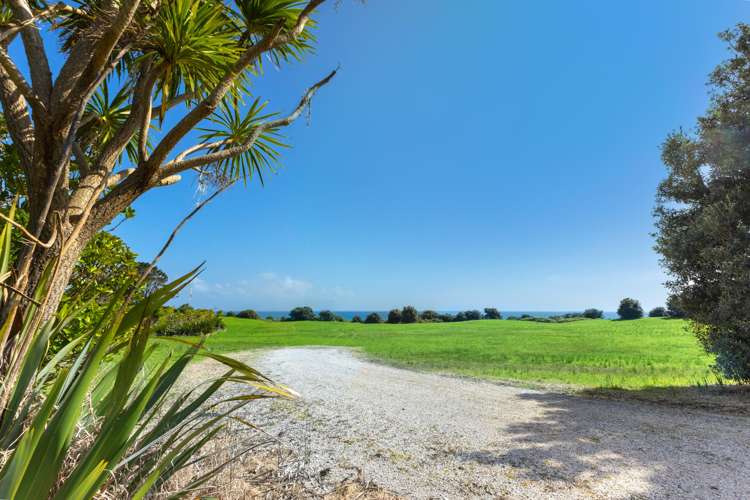 Lot 1/449 Matai Bay Road Karikari Peninsula_9