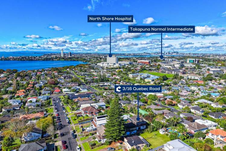 3/16 Quebec Road Milford_23