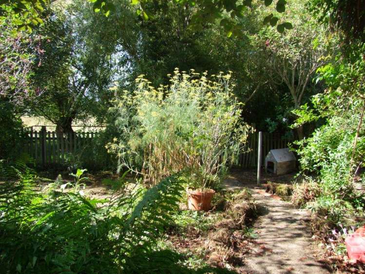 6 Lisburn Street Milton_20