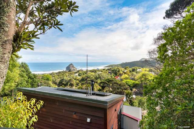 12 Piha Road Piha_1