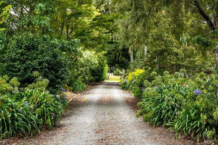 355 Pugh Road Hope_22