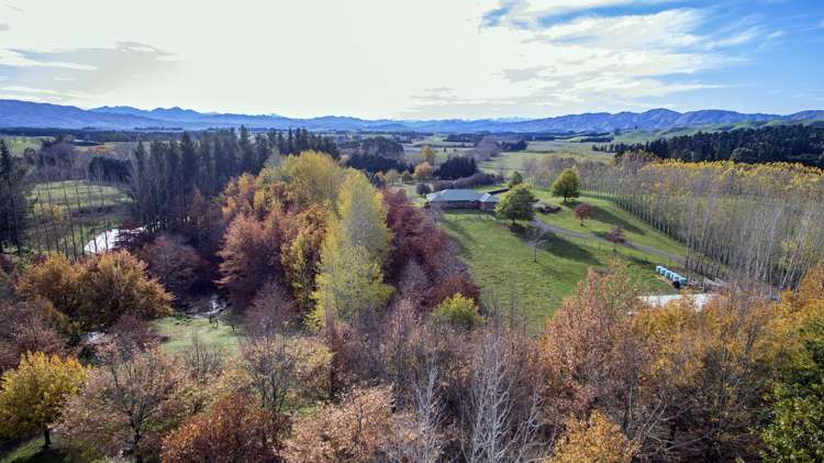 149 Parnassus Road Cheviot_19