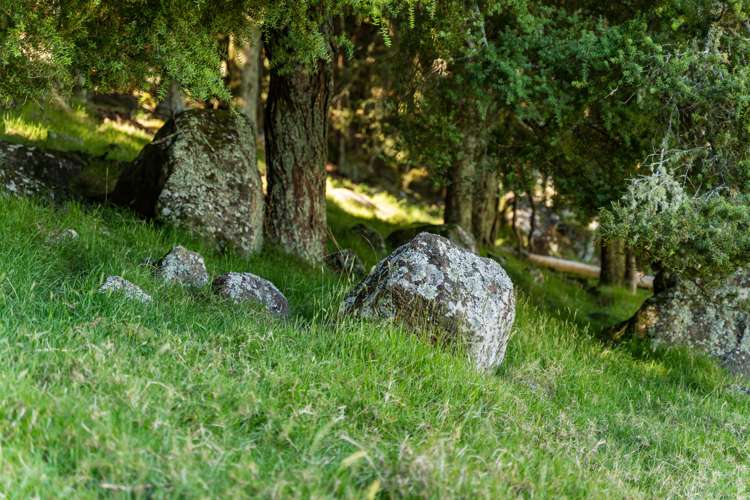 75 Snooks Road Maungatapere_15