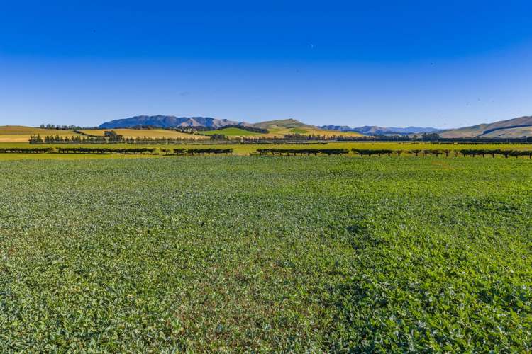 537 Mount Brown Road Broomfield_10