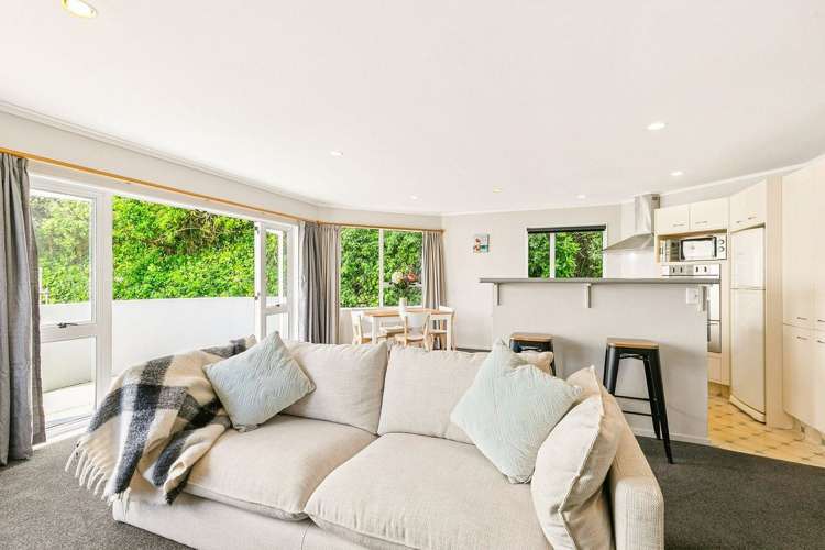 5 Erskine Close Island Bay_2