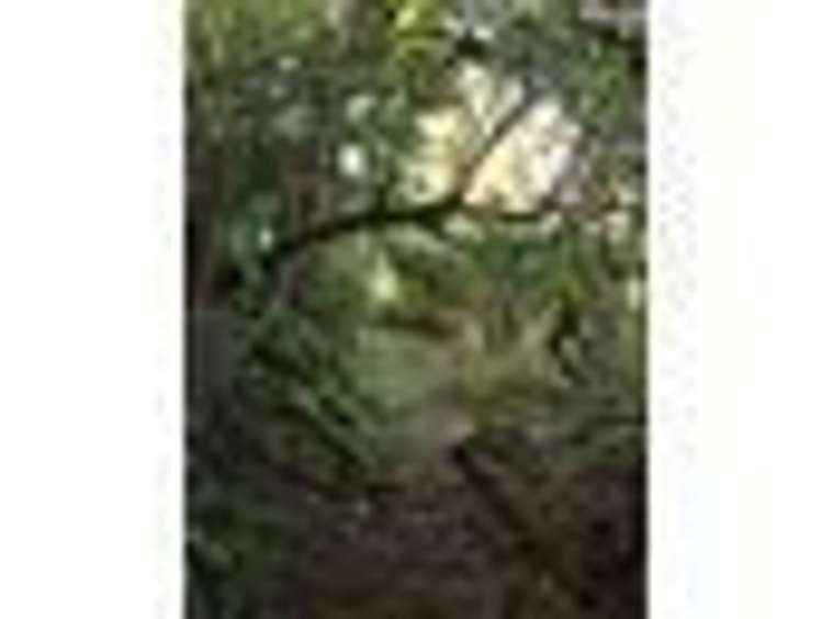 26 Tairua Heights Tairua_6