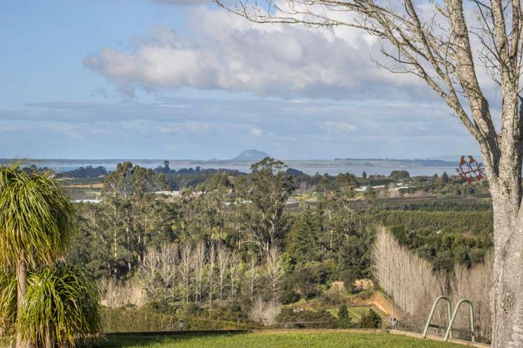 313A Woodland Road Katikati_20