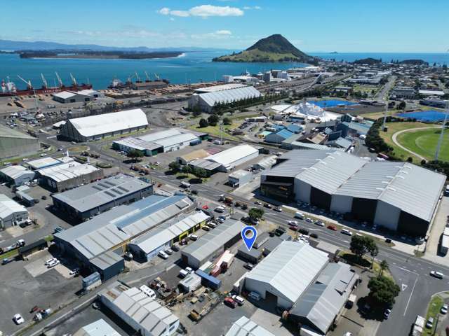 Mount Rare Industrial Land Opportunity