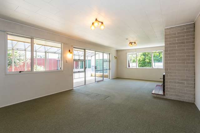 14 Lyttelton Crescent Tamatea_2