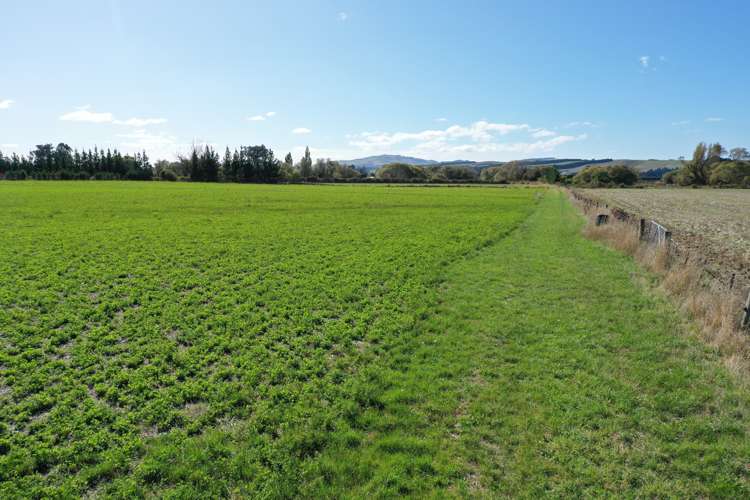 216 Reserve Road Balcairn_7