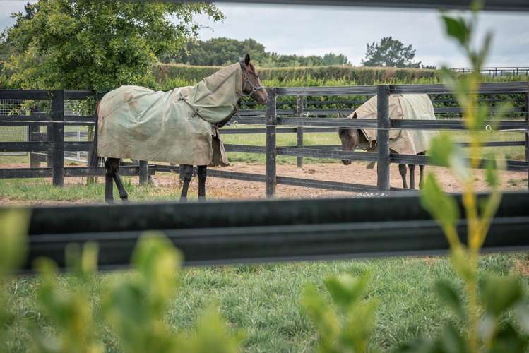 381 Mystery Creek Road Ohaupo_17