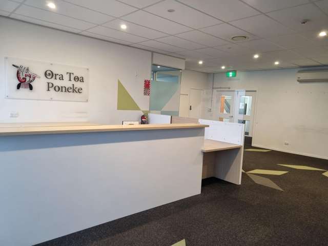 Part Ground Floor, 45 Rugby Street Te Aro_1