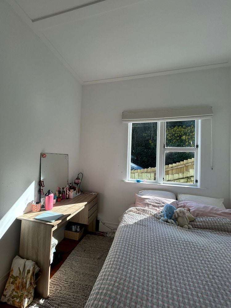 46 Norway Street Aro Valley_22