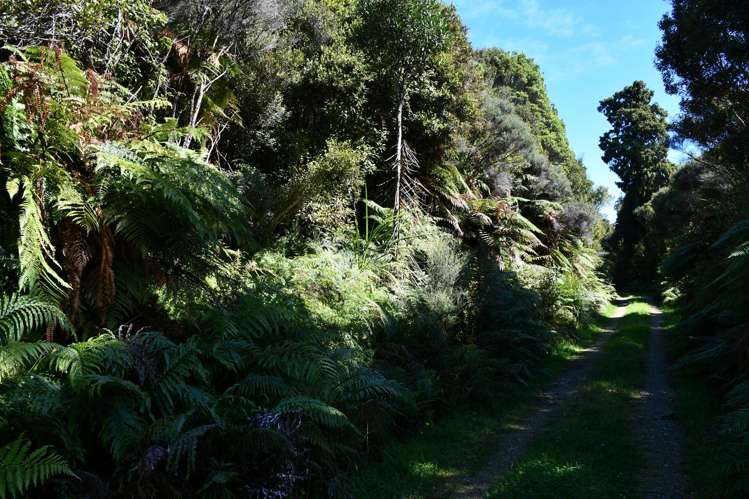 Lot 1 South Terrace Road Karamea_9